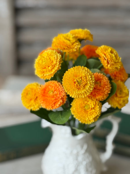 Fiesta Blooms Bush | 12" | Sunburst | NOT CURRENTLY IN STOCK-New For Spring 2027!
