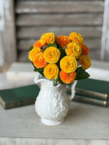 Fiesta Blooms Bush | 12" | Sunburst | NOT CURRENTLY IN STOCK-New For Spring 2027!
