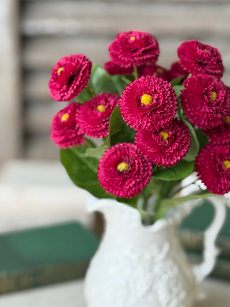 Fiesta Blooms Bush | 12" | Maven | NOT CURRENTLY IN STOCK-New For Spring 2027!