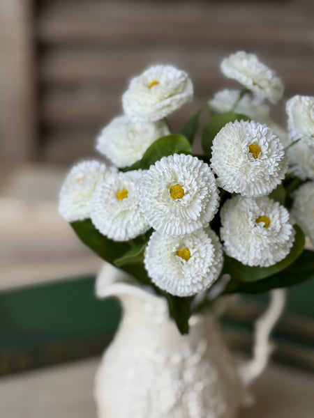 Fiesta Blooms Bush | 12" | Dollop | NOT CURRENTLY IN STOCK-New For Spring 2027!