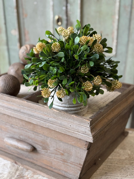 Calliope Half Sphere | 10" | Mellow | NOT CURRENTLY IN STOCK-New For Spring 2027!