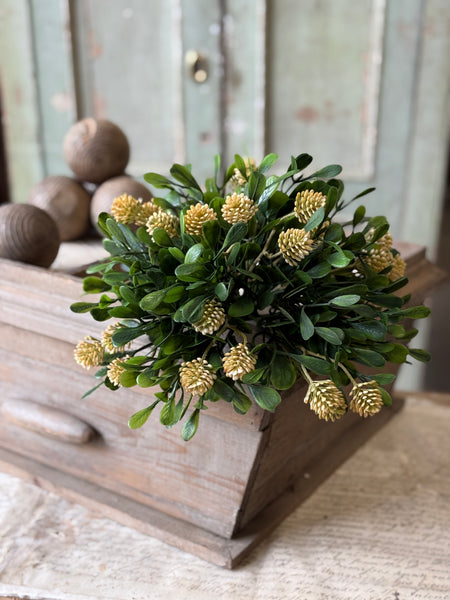 Calliope Half Sphere | 10" | Mellow | NOT CURRENTLY IN STOCK-New For Spring 2027!