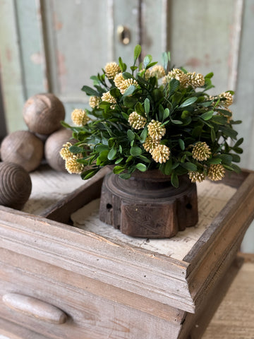 Calliope Half Sphere | 10" | Mellow | NOT CURRENTLY IN STOCK-New For Spring 2027!