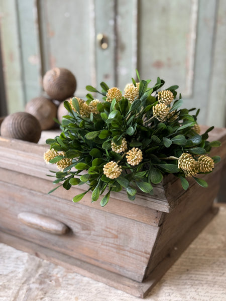 Calliope Half Sphere | 10" | Mellow | NOT CURRENTLY IN STOCK-New For Spring 2027!