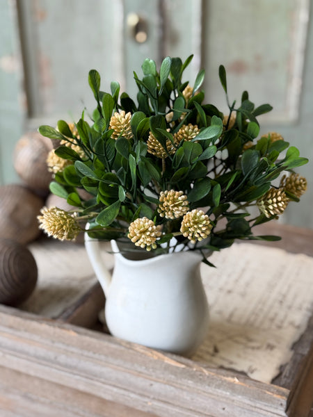 Calliope Bush | 11" | Mellow | NOT CURRENTLY IN STOCK-New For Spring 2027!