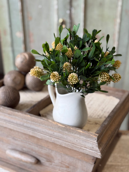 Calliope Bush | 11" | Mellow | NOT CURRENTLY IN STOCK-New For Spring 2027!