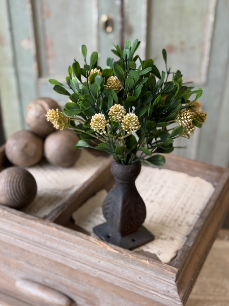 Calliope Bush | 11" | Mellow | NOT CURRENTLY IN STOCK-New For Spring 2027!