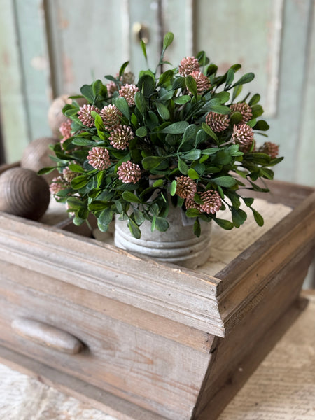 Calliope Half Sphere | 10" | Dusty | NOT CURRENTLY IN STOCK-New For Spring 2027!