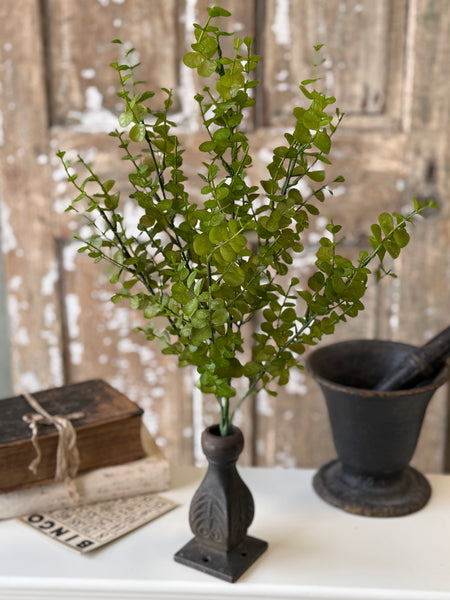 Cambria Eucalyptus Bush | 23" | NOT CURRENTLY IN STOCK-New For Spring 2027!