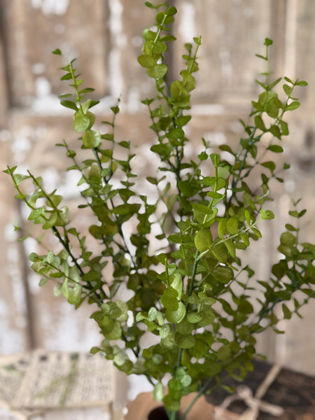Cambria Eucalyptus Bush | 23" | NOT CURRENTLY IN STOCK-New For Spring 2027!