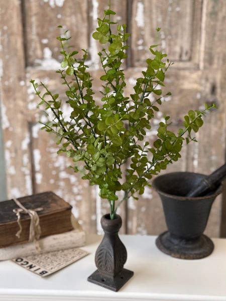 Cambria Eucalyptus Bush | 23" | NOT CURRENTLY IN STOCK-New For Spring 2027!
