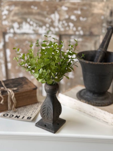Cambria Eucalyptus Bush | 11" | NOT CURRENTLY IN STOCK-New For Spring 2027!