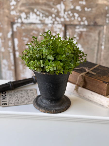 Cambria Eucalyptus Half Sphere | 9" | NOT CURRENTLY IN STOCK-New For Spring 2027!