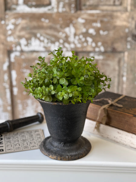 Cambria Eucalyptus Half Sphere | 9" | NOT CURRENTLY IN STOCK-New For Spring 2027!