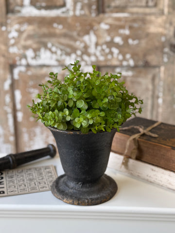 Cambria Eucalyptus Half Sphere | 9" | NOT CURRENTLY IN STOCK-New For Spring 2027!