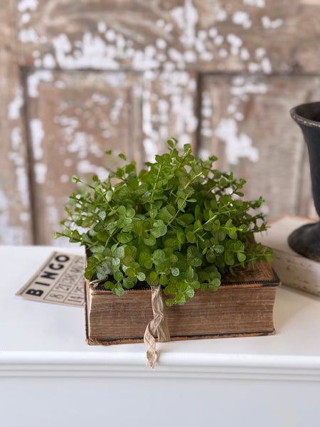 Cambria Eucalyptus Half Sphere | 9" | NOT CURRENTLY IN STOCK-New For Spring 2027!
