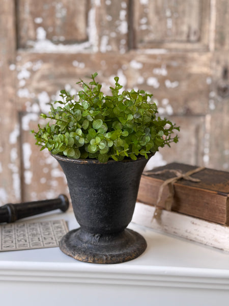 Cambria Eucalyptus Half Sphere | 9" | NOT CURRENTLY IN STOCK-New For Spring 2027!