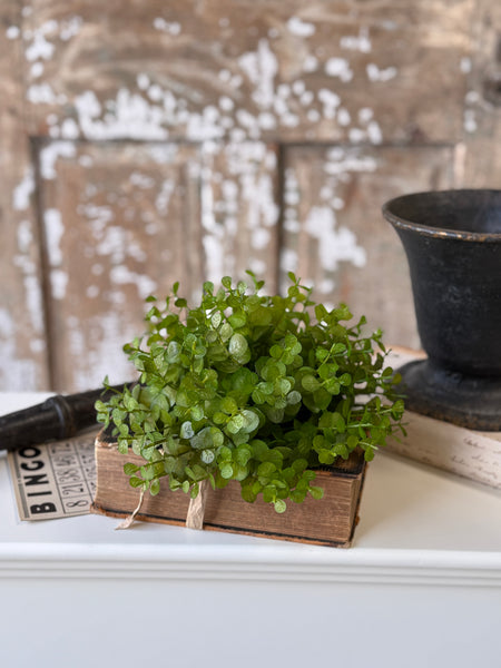 Cambria Eucalyptus Half Sphere | 9" | NOT CURRENTLY IN STOCK-New For Spring 2027!