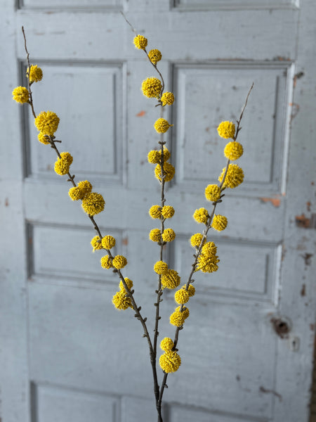 Aurora Orbs Spray | 36" | Yellow | NOT CURRENTLY IN STOCK-New For Spring 2027!