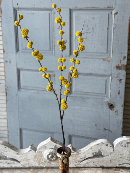 Aurora Orbs Spray | 36" | Yellow | NOT CURRENTLY IN STOCK-New For Spring 2027!