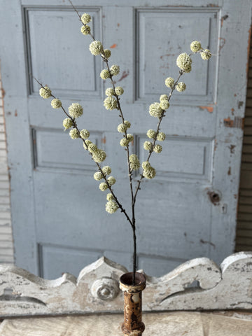 Aurora Orbs Spray | 36" | Cream | NOT CURRENTLY IN STOCK-New For Spring 2027!