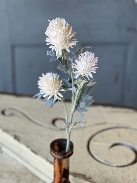 Paradise Protea | 26" | Cream | NOT CURRENTLY IN STOCK-New For Spring 2026!