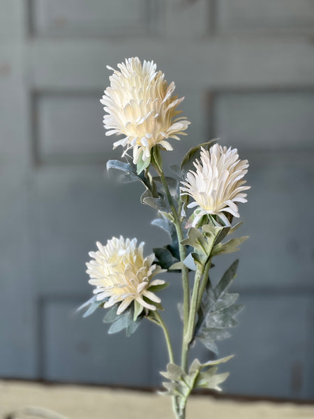 Paradise Protea | 26" | Cream | NOT CURRENTLY IN STOCK-New For Spring 2026!