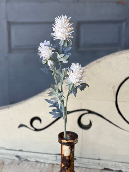 Paradise Protea | 26" | Cream | NOT CURRENTLY IN STOCK-New For Spring 2026!