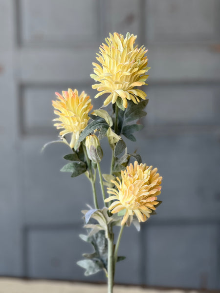 Paradise Protea | 26" | Yellow | NOT CURRENTLY IN STOCK-New For Spring 2026!