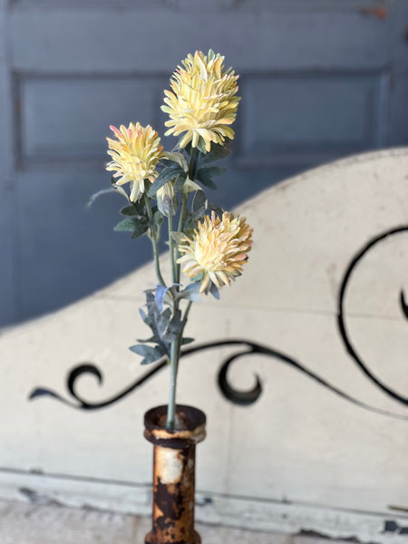 Paradise Protea | 26" | Yellow | NOT CURRENTLY IN STOCK-New For Spring 2026!