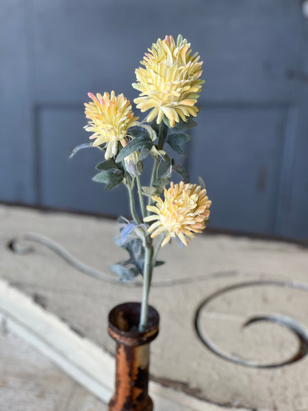 Paradise Protea | 26" | Yellow | NOT CURRENTLY IN STOCK-New For Spring 2026!
