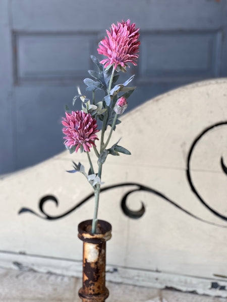 Paradise Protea | 26" | Rosa | NOT CURRENTLY IN STOCK-New For Spring 2026!