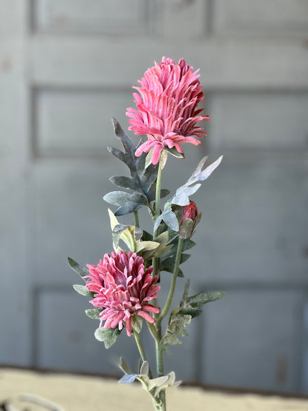Paradise Protea | 26" | Rosa | NOT CURRENTLY IN STOCK-New For Spring 2026!