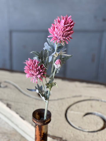 Paradise Protea | 26" | Rosa | NOT CURRENTLY IN STOCK-New For Spring 2026!