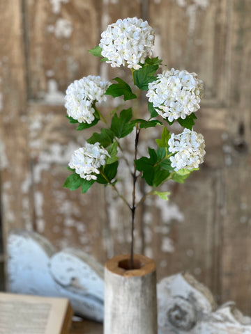 Snowball Spray | 34" | White | NOT CURRENTLY IN STOCK-New For Spring 2026!