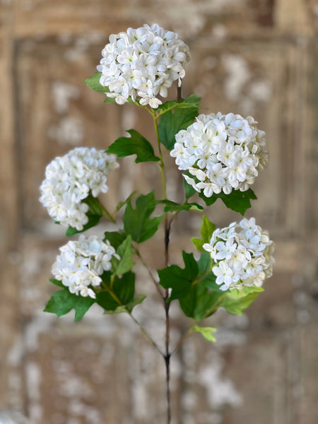 Snowball Spray | 34" | White | NOT CURRENTLY IN STOCK-New For Spring 2026!