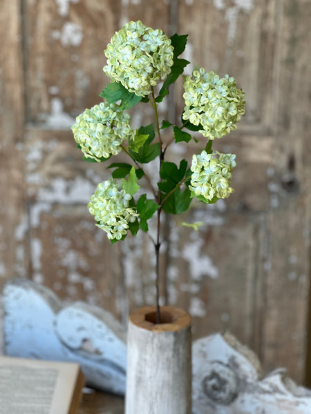 Snowball Spray | 34" | Green | NOT CURRENTLY IN STOCK-New For Spring 2026!