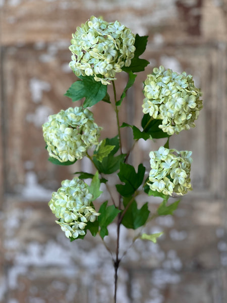 Snowball Spray | 34" | Green | NOT CURRENTLY IN STOCK-New For Spring 2026!