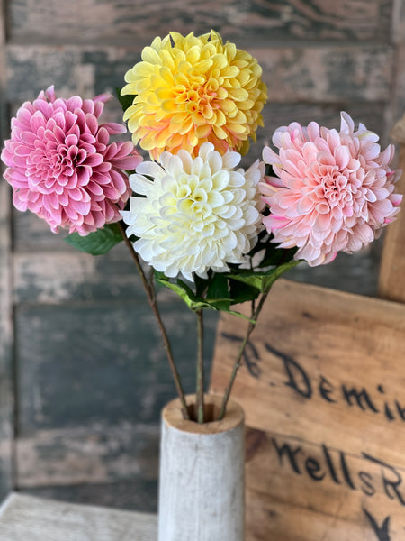 Celebrity Dahlia | 28" | Yellow | NOT CURRENTLY IN STOCK-New For Spring 2026!
