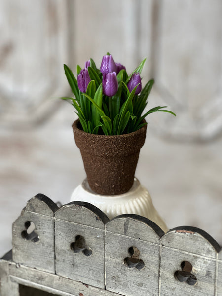 Teacup Tulip Pot | 5" | Purple | NOT CURRENTLY IN STOCK-New For Spring 2026!