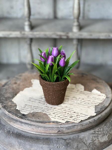 Teacup Tulip Pot | 5" | Purple | NOT CURRENTLY IN STOCK-New For Spring 2026!