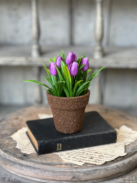 Teacup Tulip Pot | 5" | Purple | NOT CURRENTLY IN STOCK-New For Spring 2026!