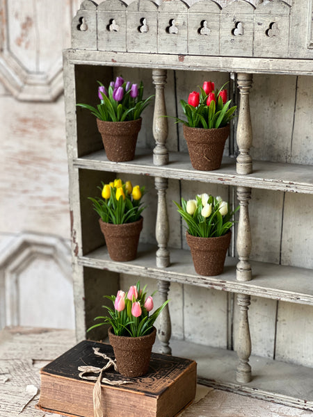 Teacup Tulip Pot | 5" | Pink | NOT CURRENTLY IN STOCK-New For Spring 2026!
