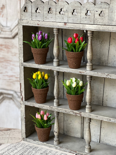 Teacup Tulip Pot | 5" | Cream | NOT CURRENTLY IN STOCK-New For Spring 2026!