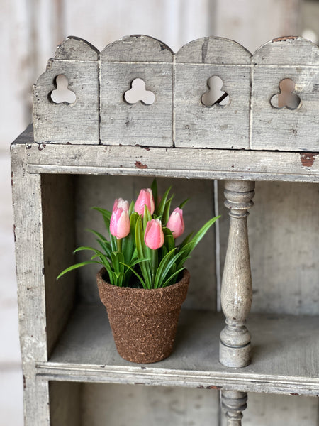 Teacup Tulip Pot | 5" | Pink | NOT CURRENTLY IN STOCK-New For Spring 2026!