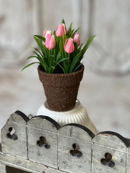 Teacup Tulip Pot | 5" | Pink | NOT CURRENTLY IN STOCK-New For Spring 2026!