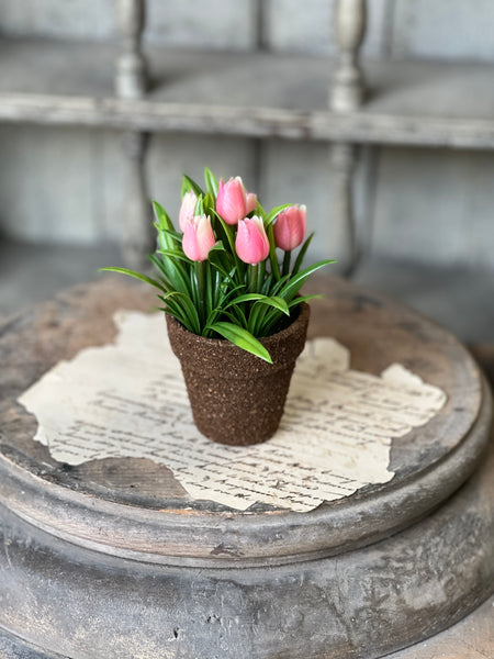 Teacup Tulip Pot | 5" | Pink | NOT CURRENTLY IN STOCK-New For Spring 2026!
