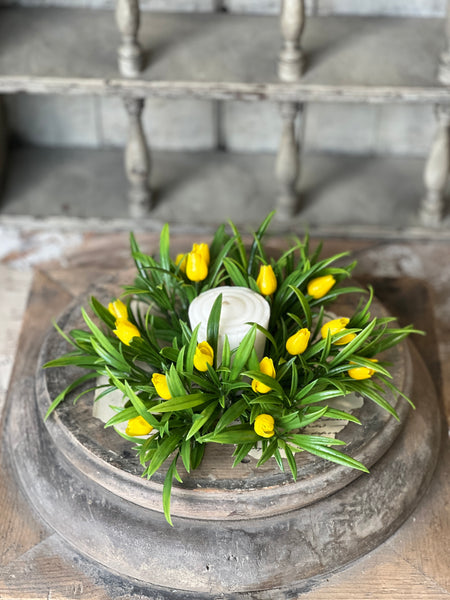 Teacup Tulip Candle Ring | 8" | Yellow | NOT CURRENTLY IN STOCK-New For Spring 2026!