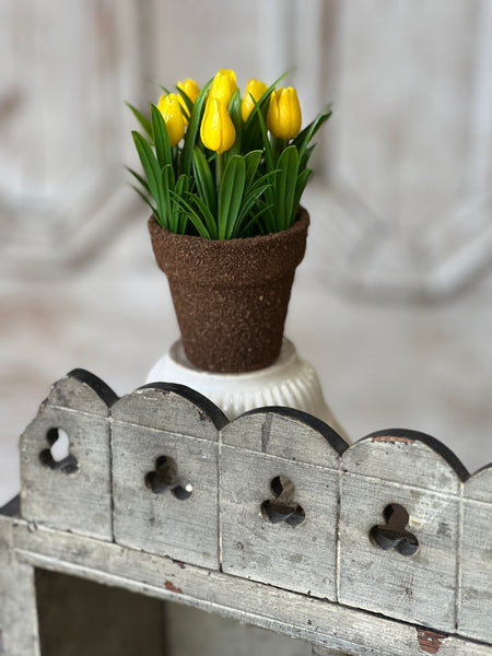 Teacup Tulip Pot | 5" | Yellow | NOT CURRENTLY IN STOCK-New For Spring 2026!