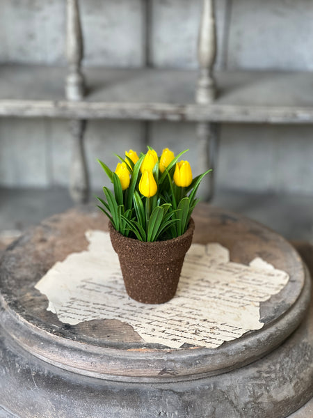 Teacup Tulip Pot | 5" | Yellow | NOT CURRENTLY IN STOCK-New For Spring 2026!